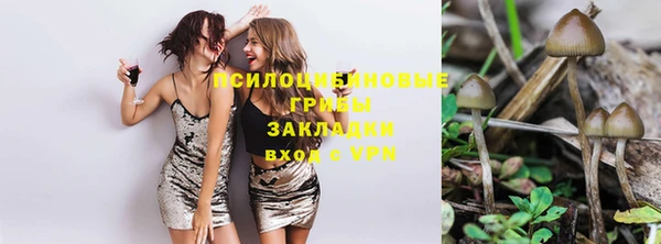 шишки Михайловка