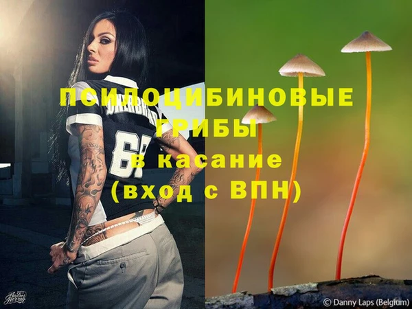шишки Михайловка
