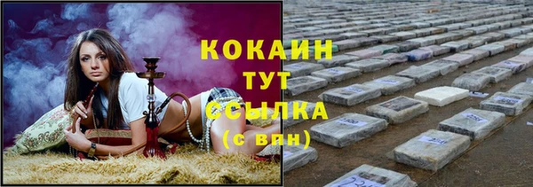 шишки Михайловка